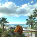 금미리 | 제주여행 3박4일 가족여행 3-4일차일정 맛집 숙소추천 소노벨 제주