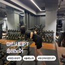 솔레노어 PT STUDIO | 마린시티PT 솔레노어 후기