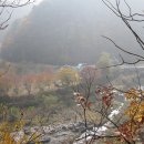 산성골 Daum카페