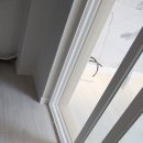 2차보성 이미지