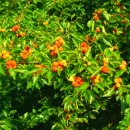 상소동 오토캠핑장 이미지