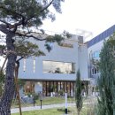 신탄진페이지 | [대전 신탄진 감성카페] 신탄진 라떼 맛집, 커피인터뷰 새여울점☕