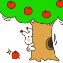 스터닝샐러드 이미지