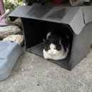 썬비치펜션 이미지