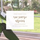 대원농약사 | [진짜, 주택살이] 빛솔마루집 마당 잡초와의 전쟁, 잔디밭 제초제 모뉴먼트 그리고 나무 영양제 대유...