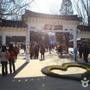 춘천출입국관리사무소 Daum카페