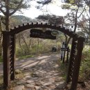 용연목장 Daum카페