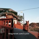 건평휴게소