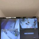 미라클 그루밍 이미지