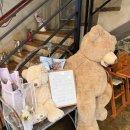 올리브 장작 | 사상 양식 맛집 화덕피자 전문점 [올리브장작 사상점]