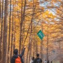 사계절여행사 - 부여군 수북로41번길 8-15 | 사계절여행사