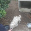 용눈이펜션 이미지