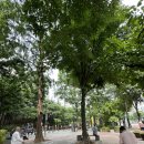 장수공원 이미지