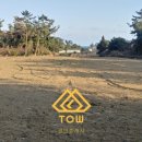 표선리-2 이미지