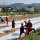 광원농장 이미지