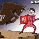 31 이미지