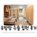 은새암작은도서관 | 유방암 수술 중앙대광명병원 입원 후기, 병실·준비물·입원 첫날 이야기