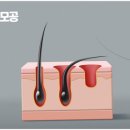 오소울산 이미지