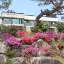 솔하우스&갤러리 이미지