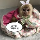 금비노래주점 | 숨참고 종강 다이브
