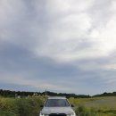 더블체크(doublecheck) 이미지