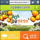 감귤PC 이미지