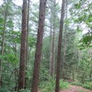 치악산둘레길 2코스 구룡길 이미지