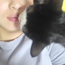 [7월 마지막쭈우♡] 별거없지만 또 올려부러땅, 벌써 한달째 꾸준히 올리는 나? 쌈뽕한girl?