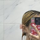 디투펜션 이미지