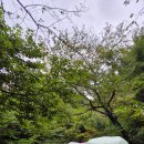 [일요산행] 9월 넷째 주(삼다수숲길,말찻오름,마흐니오름 가친오름) 이미지