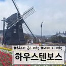 포토보스스튜디오 | 나가사키 하우스텐보스 완벽 정리! 후쿠오카 근교여행으로 가는 방법부터 입장권 할인, 트립닷컴 12...