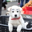 두산아트센터 연강홀 이미지