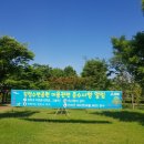 강청수변공원축구장 네이버블로그