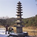 화순 운주사 구층석탑 (和順 雲住寺 九層石塔) 이미지