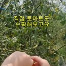 해와달농원