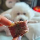 댕스터 셰프 이미지