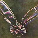 과제1 예시--15일까지-매주 똑같은 방식입니다.-인터넷 검색해서 복사 붙여 넣기만 하면 됩니다. 이미지