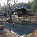 강골마을 아치실댁 이미지