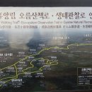 제주 오름 산책 이미지