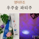 바다별 | 영덕주조 우주술 파티주 블링블링 바다별 사과맛, 선물세트 후기