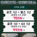 에브리데이골프 이미지