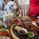 거제 애견동반 식당 소탐돼실 한화리조트 근처 삼겹살 맛집