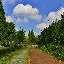 초지1로1 이미지