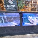 꿈돈 168 동산점 이미지