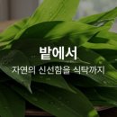 농업회사법인 좋은사람주식회사