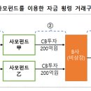 심사·감리결과 지적사례[사모펀드를 이용한 자금 횡령 및 금융자산 과대계상] 이미지