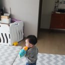 코즈이비인후과의원 이미지