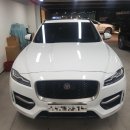 에프이글로벌 | 라이카 Q-P : 재규어F PACE 2.0 R sport 2,000키로 주행후기