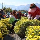 산청지역자활센터 이미지