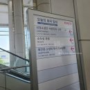 교육로 10 네이버블로그